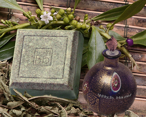 Whitch Hazel, Tea Tree & Verbena 4oz - Click Image to Close